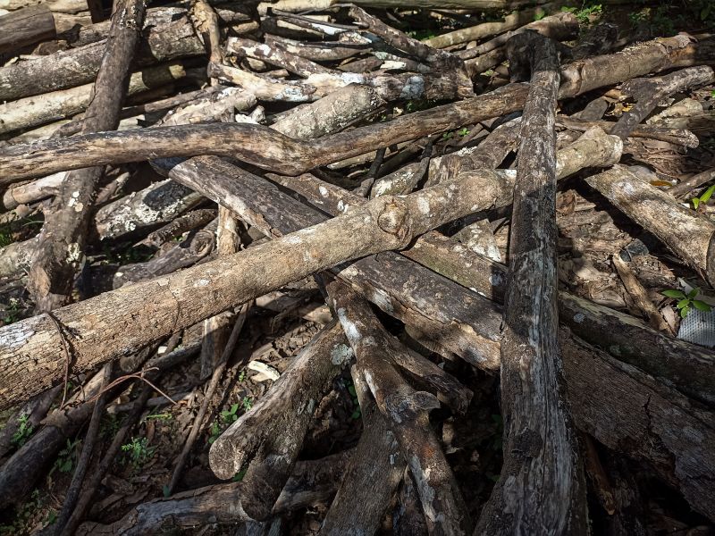 Storm Damage Cleanup